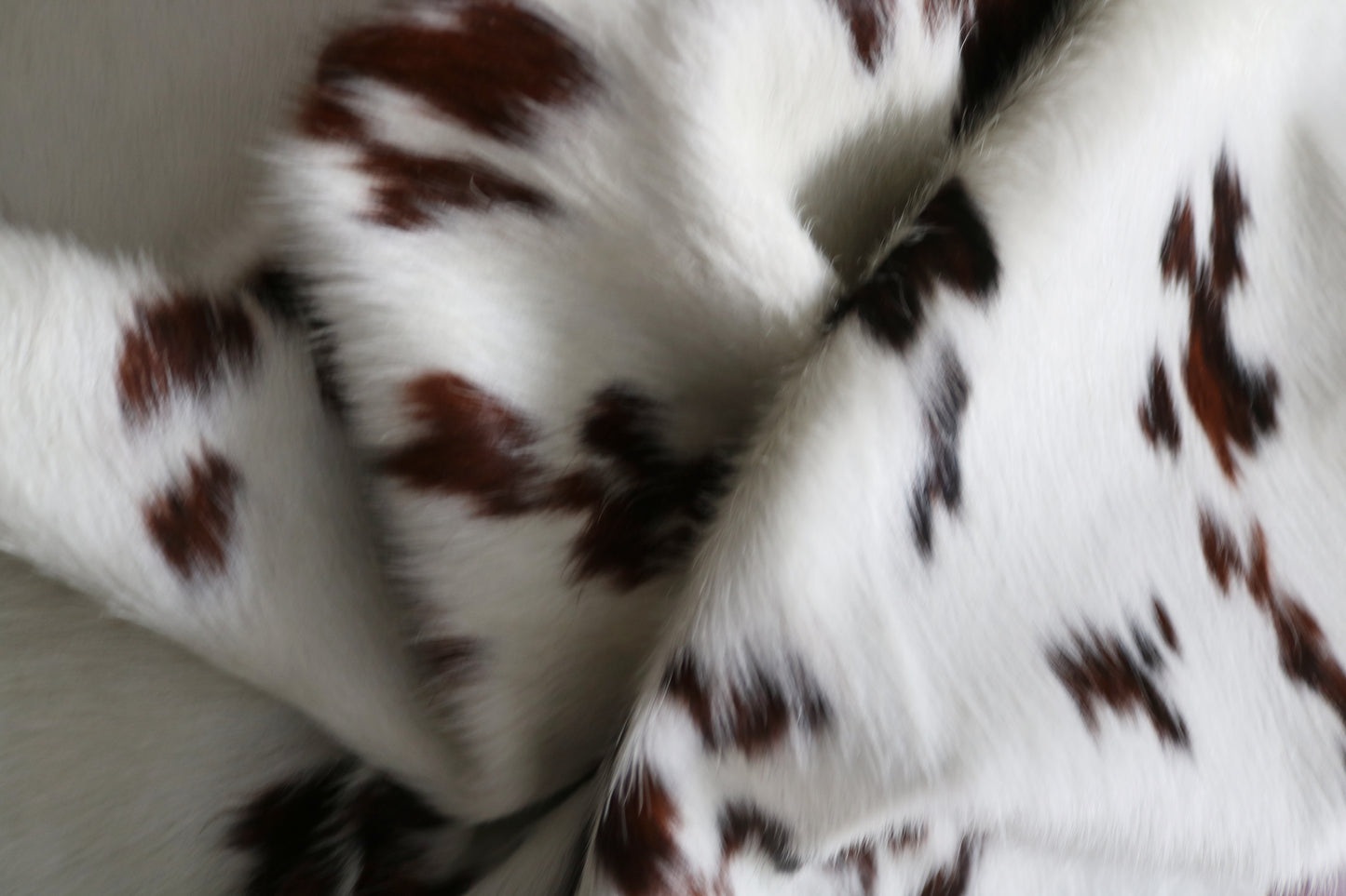 99881 Cowhide rug TRICOLOR    Collection Quebecuir Premium