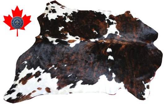 99882 Cowhide rug TRICOLOR    Collection Quebecuir Premium