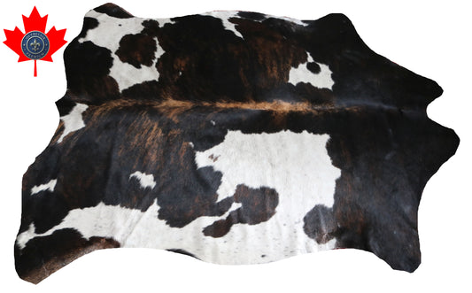 99887 Cowhide rug TRICOLOR    Collection Quebecuir Premium
