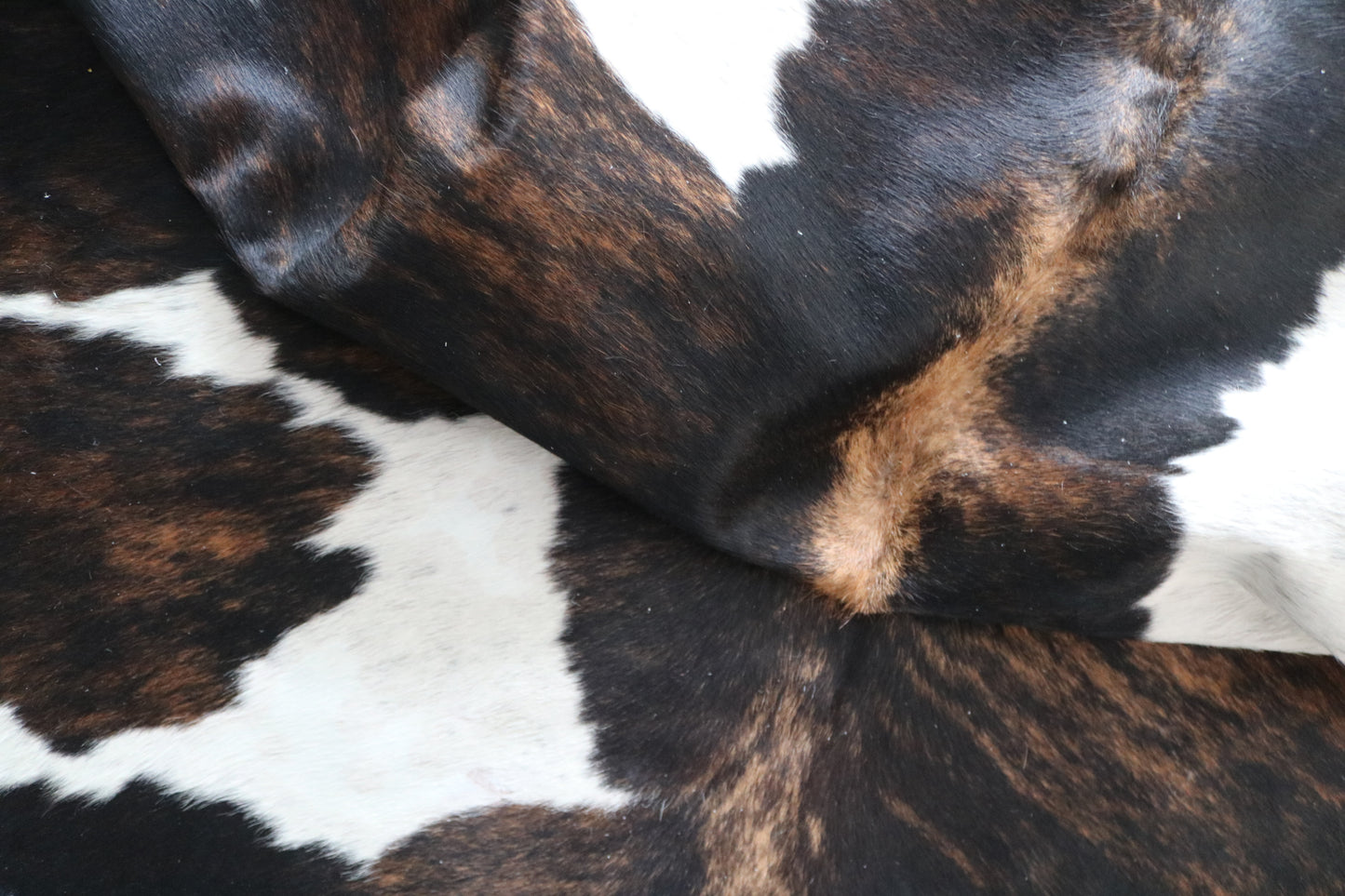 99887 Cowhide rug TRICOLOR    Collection Quebecuir Premium