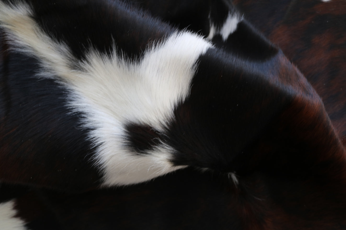 99892 Cowhide rug TRICOLOR    Collection Quebecuir Premium