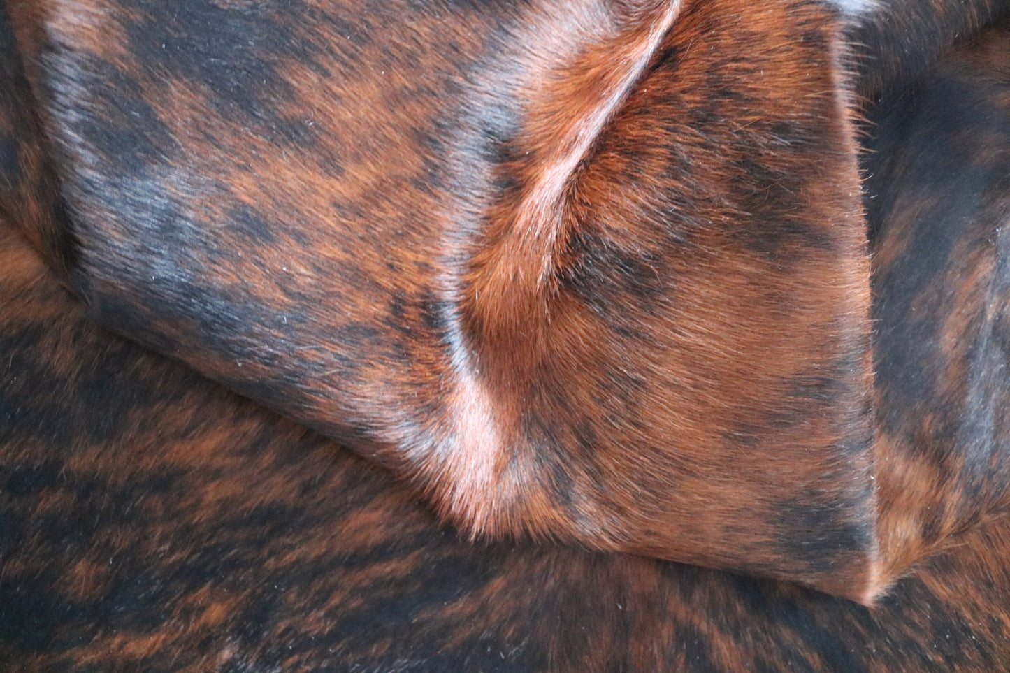 99894 Cowhide rug TRICOLOR    Collection Quebecuir Premium