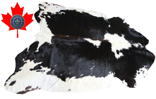 99895 Cowhide rug TRICOLOR    Collection Quebecuir Premium
