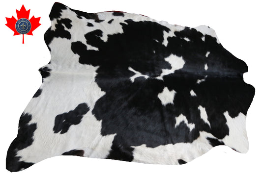 99896 Cowhide rug TRICOLOR    Collection Quebecuir Premium