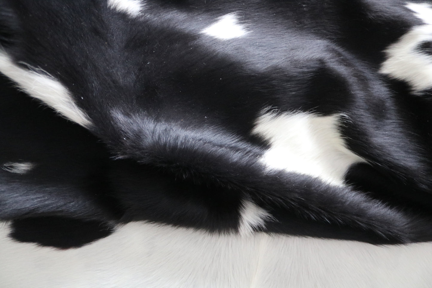 99896 Cowhide rug TRICOLOR    Collection Quebecuir Premium