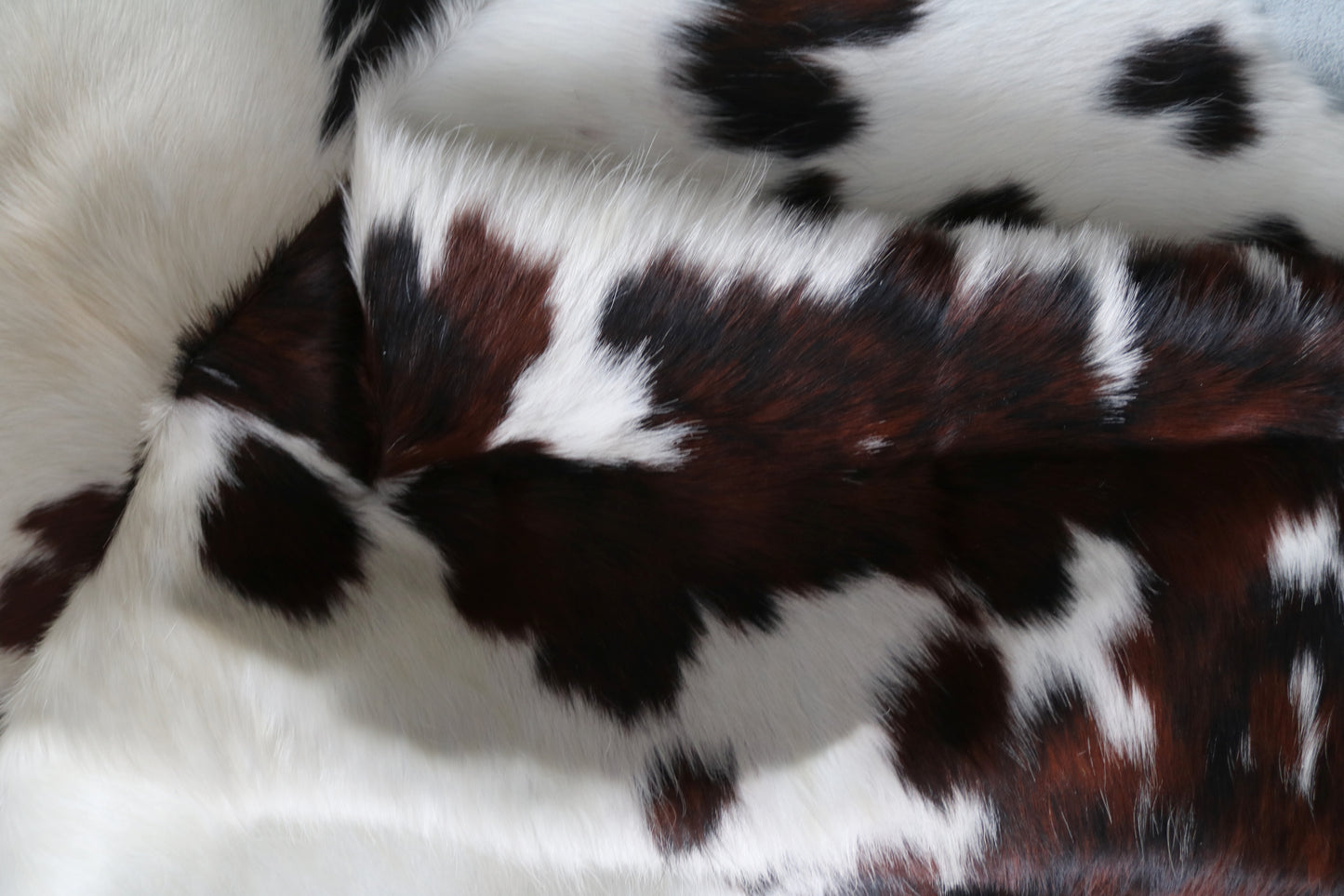 99897 Cowhide rug TRICOLOR    Collection Quebecuir Premium