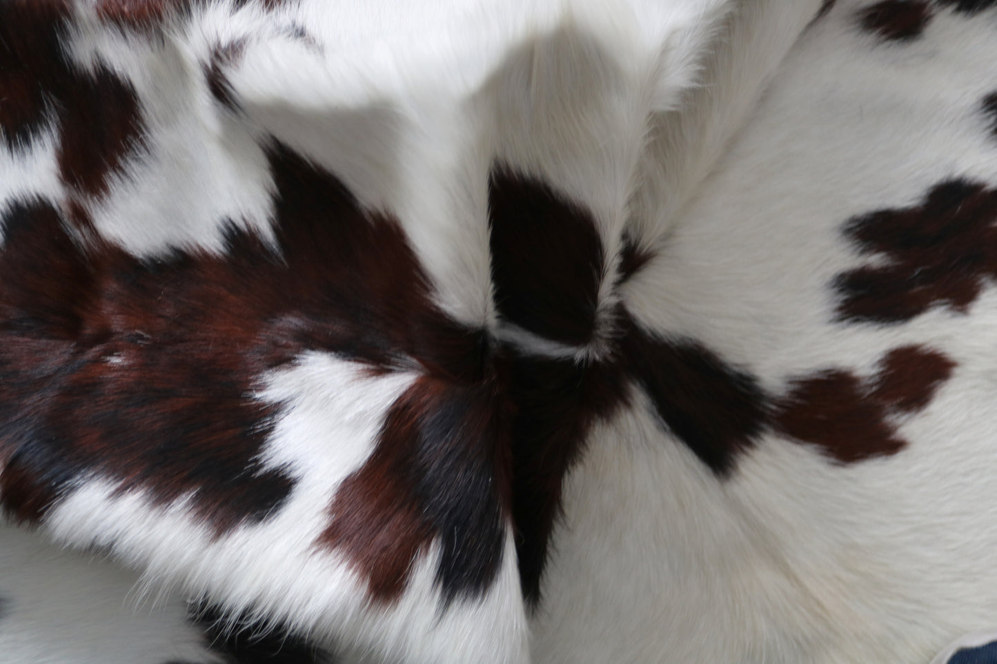 99897 Cowhide rug TRICOLOR    Collection Quebecuir Premium