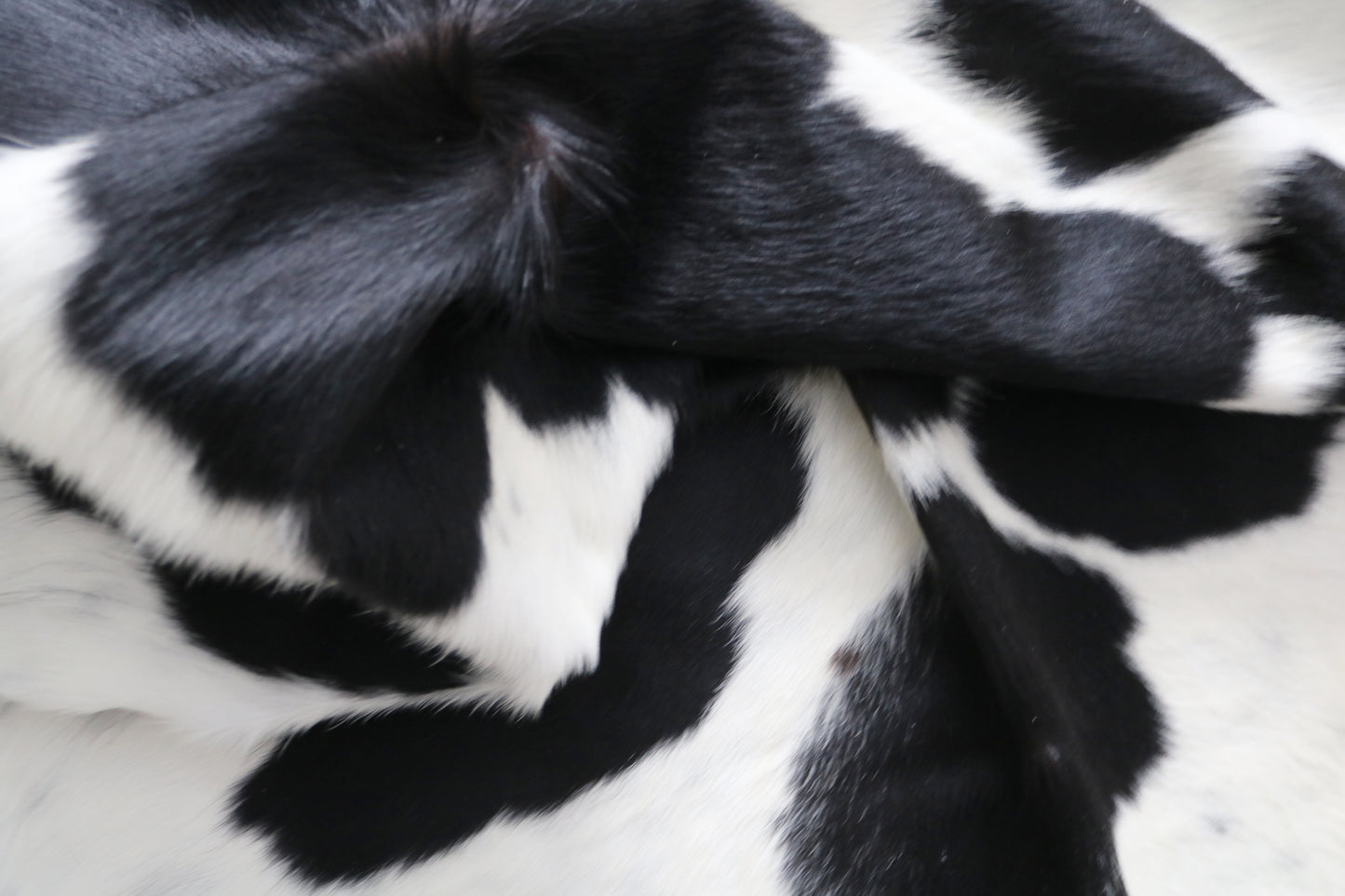 99898 Cowhide rug TRICOLOR    Collection Quebecuir Premium