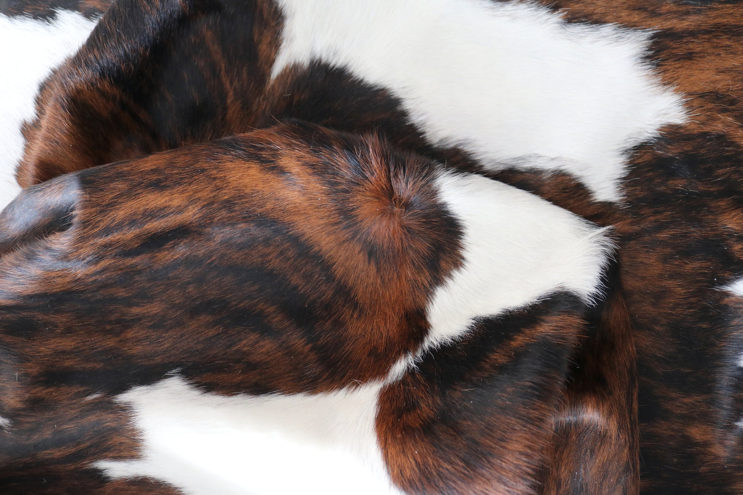 99901 Cowhide rug TRICOLOR    Collection Quebecuir Premium