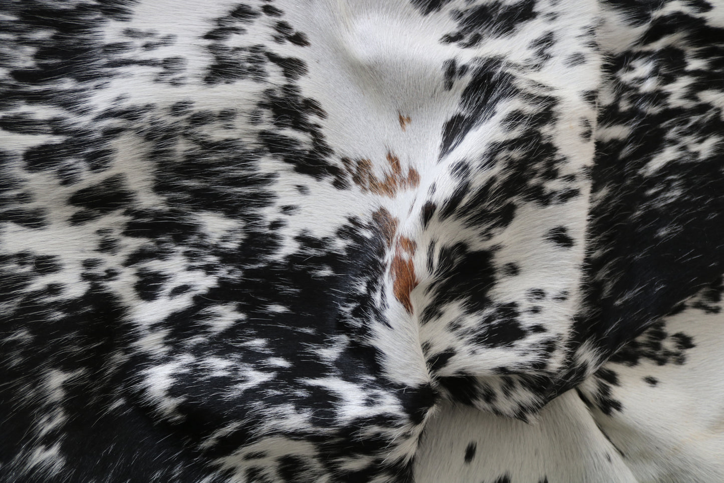 99902 Cowhide rug TRICOLOR    Collection Quebecuir Premium