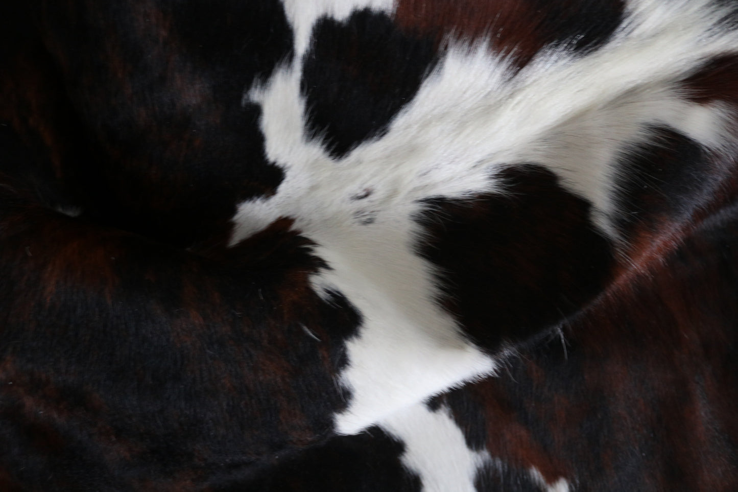 99905 Cowhide rug TRICOLOR    Collection Quebecuir Premium