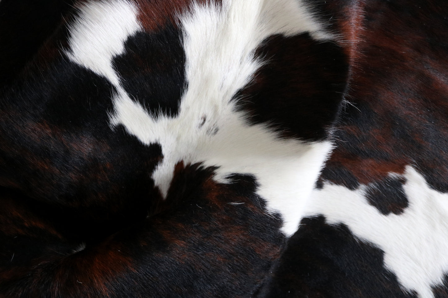 99905 Cowhide rug TRICOLOR    Collection Quebecuir Premium