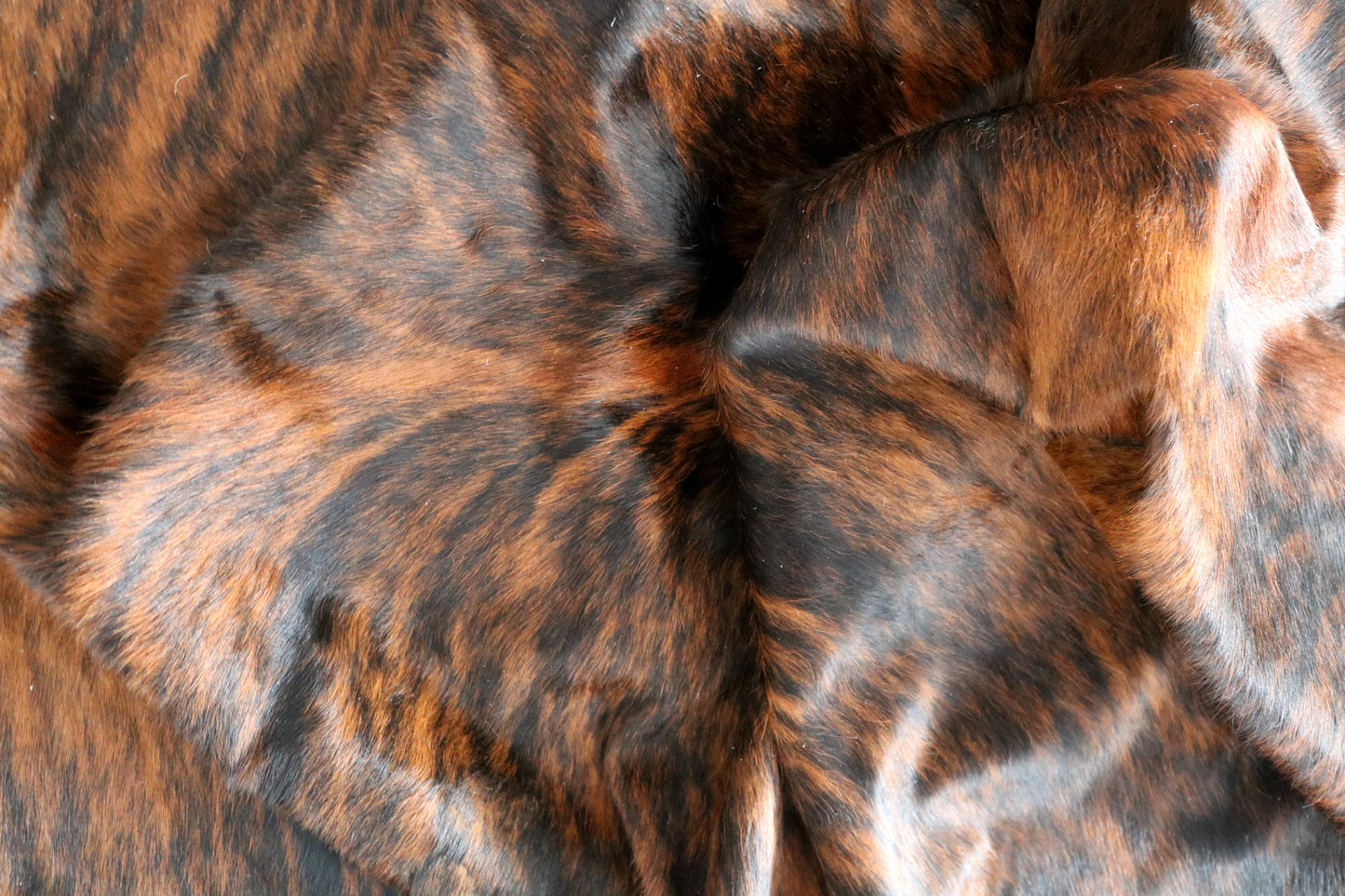 99919 Cowhide rug TRICOLOR    Collection Quebecuir Premium