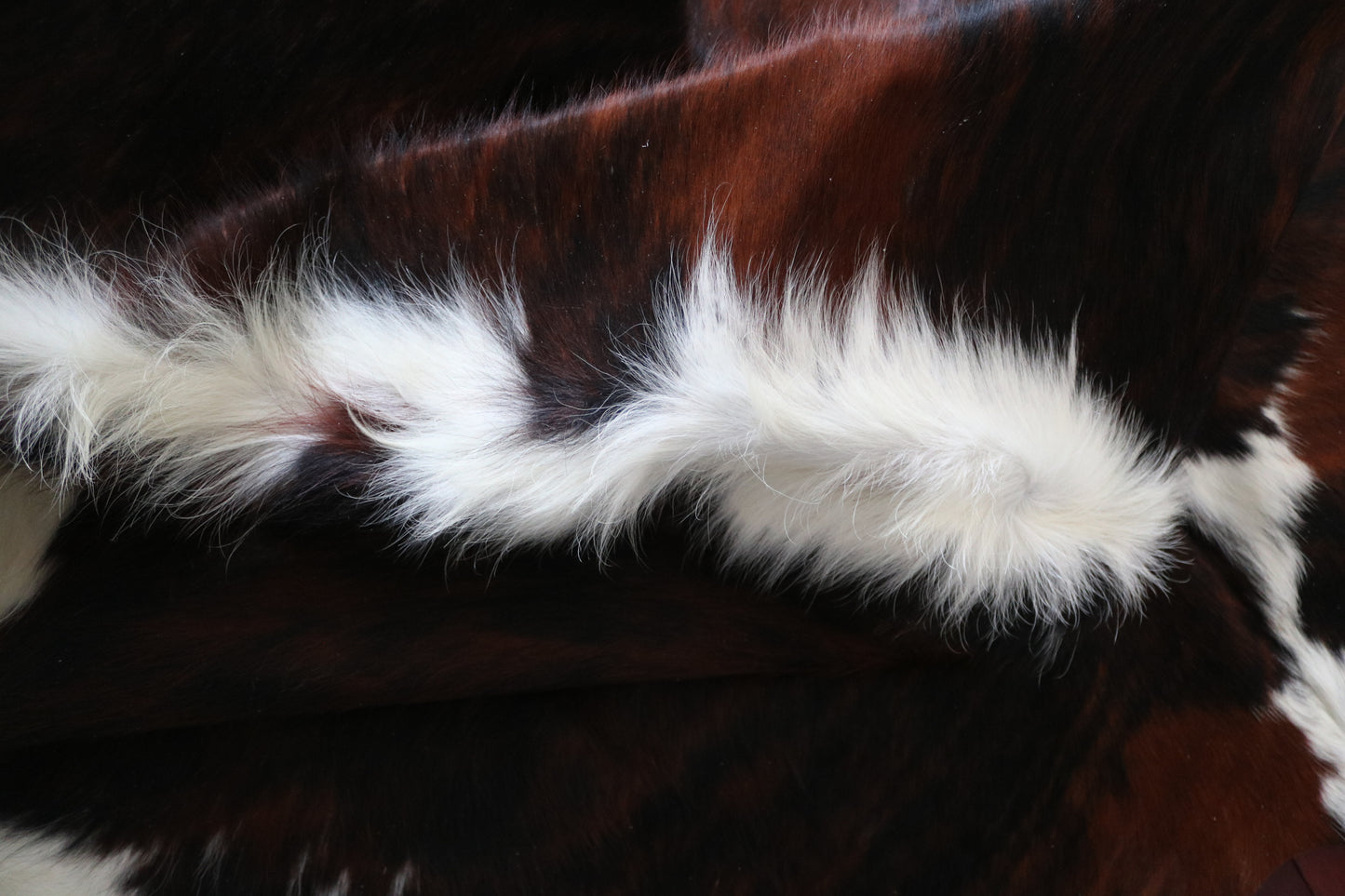 99930 Cowhide rug TRICOLOR   Collection Quebecuir Premium