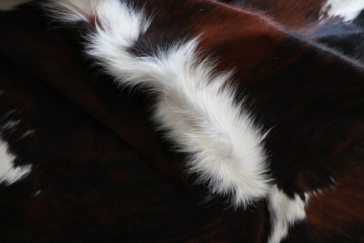99930 Cowhide rug TRICOLOR   Collection Quebecuir Premium