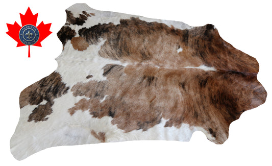 99936 Cowhide rug TRICOLOR Collection Quebecuir Premium
