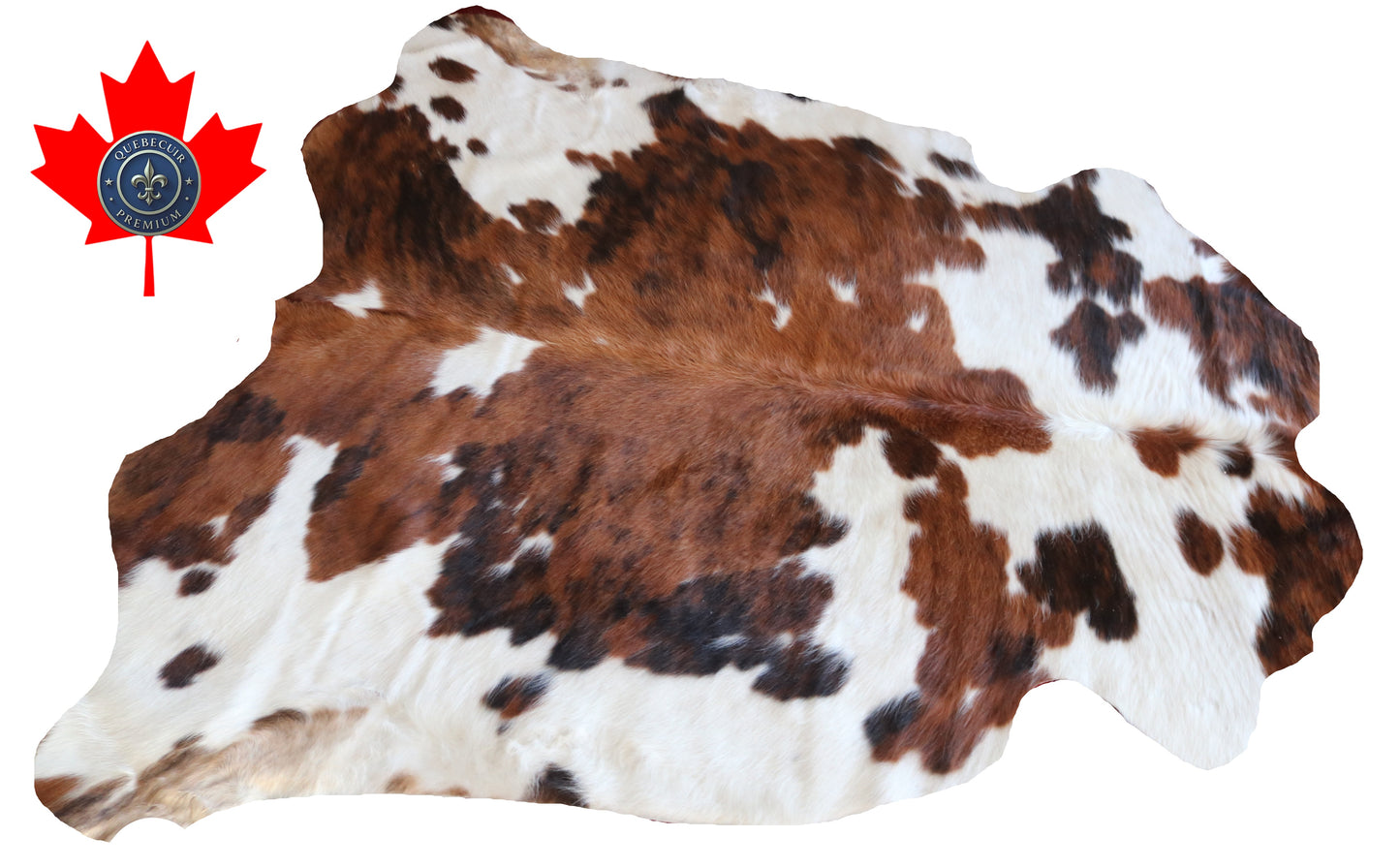 200567 Cowhide rug TRICOLOR Collection Quebecuir Premium