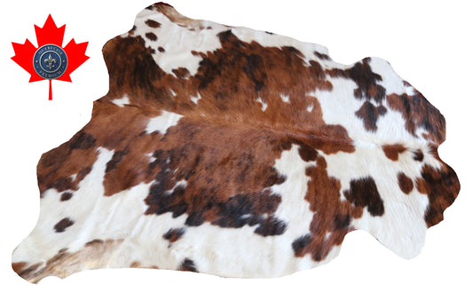200567 Cowhide rug TRICOLOR Collection Quebecuir Premium