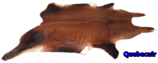 98344 - Cowhide Rug Tapis Peau de Vache  SUPER BIG SIZE XXXL  TRICOLOR  - Collection Quebecuir Premium
