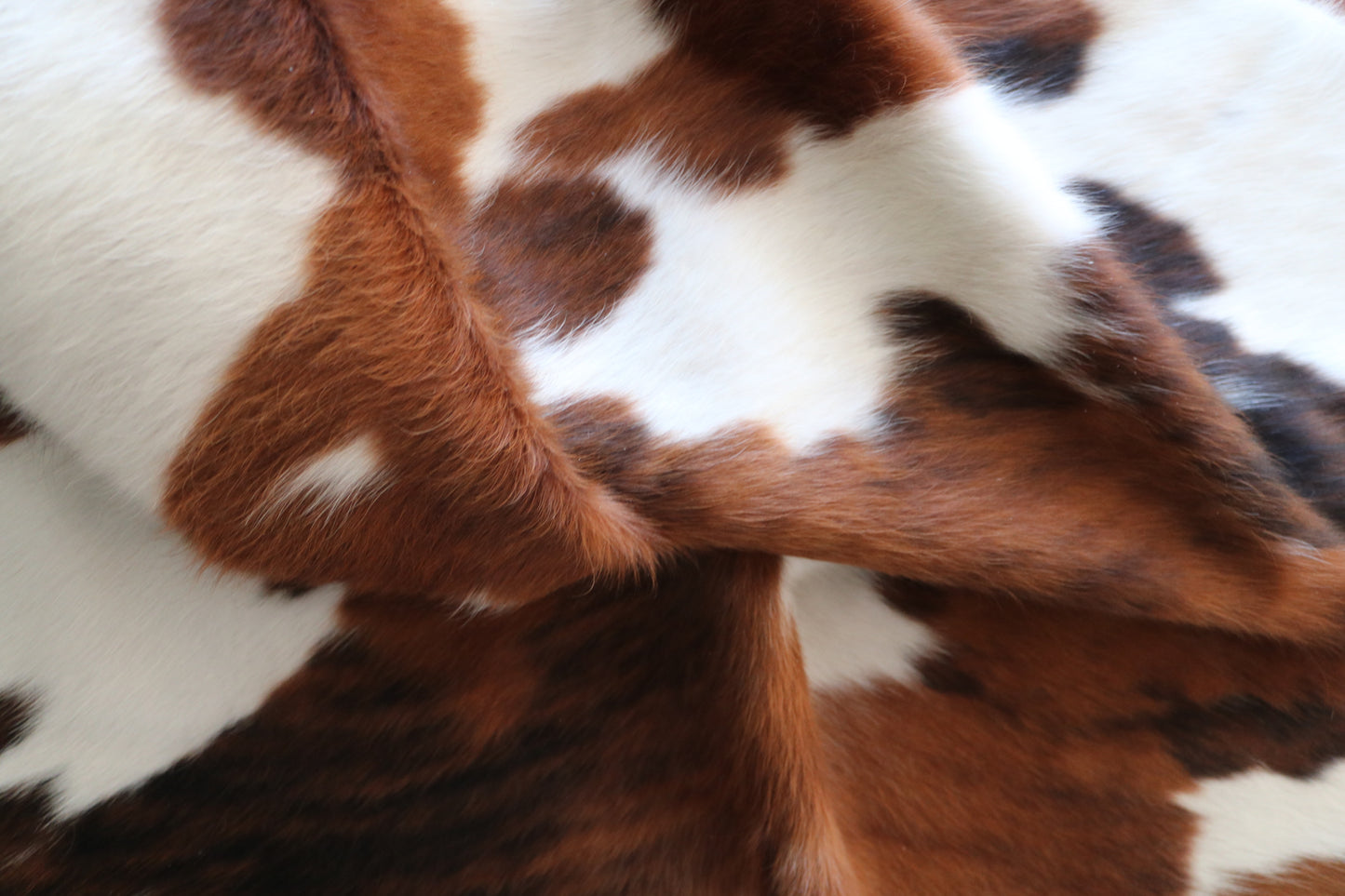 200567 Cowhide rug TRICOLOR Collection Quebecuir Premium