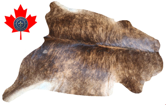 200568 Cowhide rug TRICOLOR Collection Quebecuir Premium