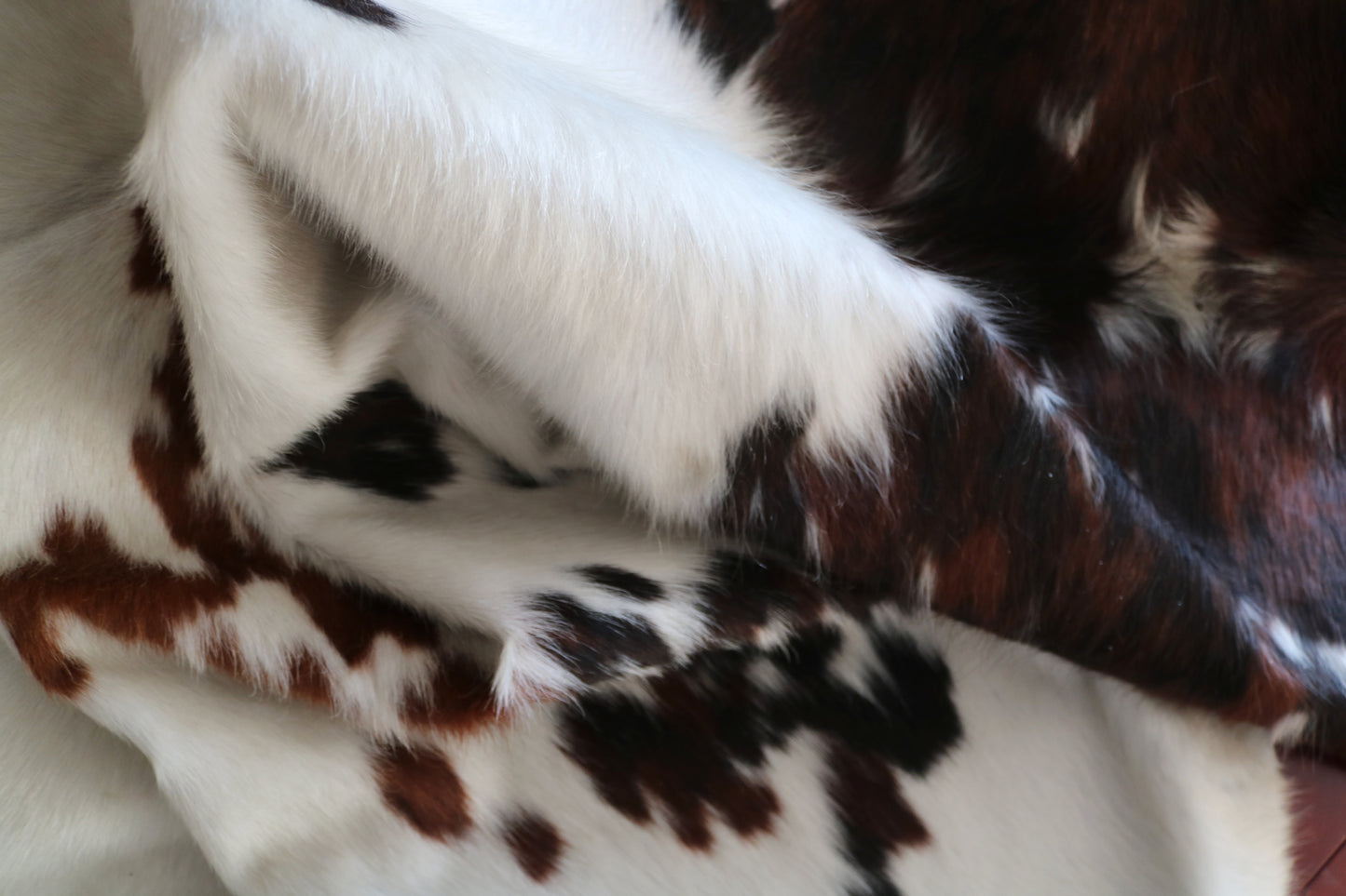 200570 Cowhide rug TRICOLOR Collection Quebecuir Premium