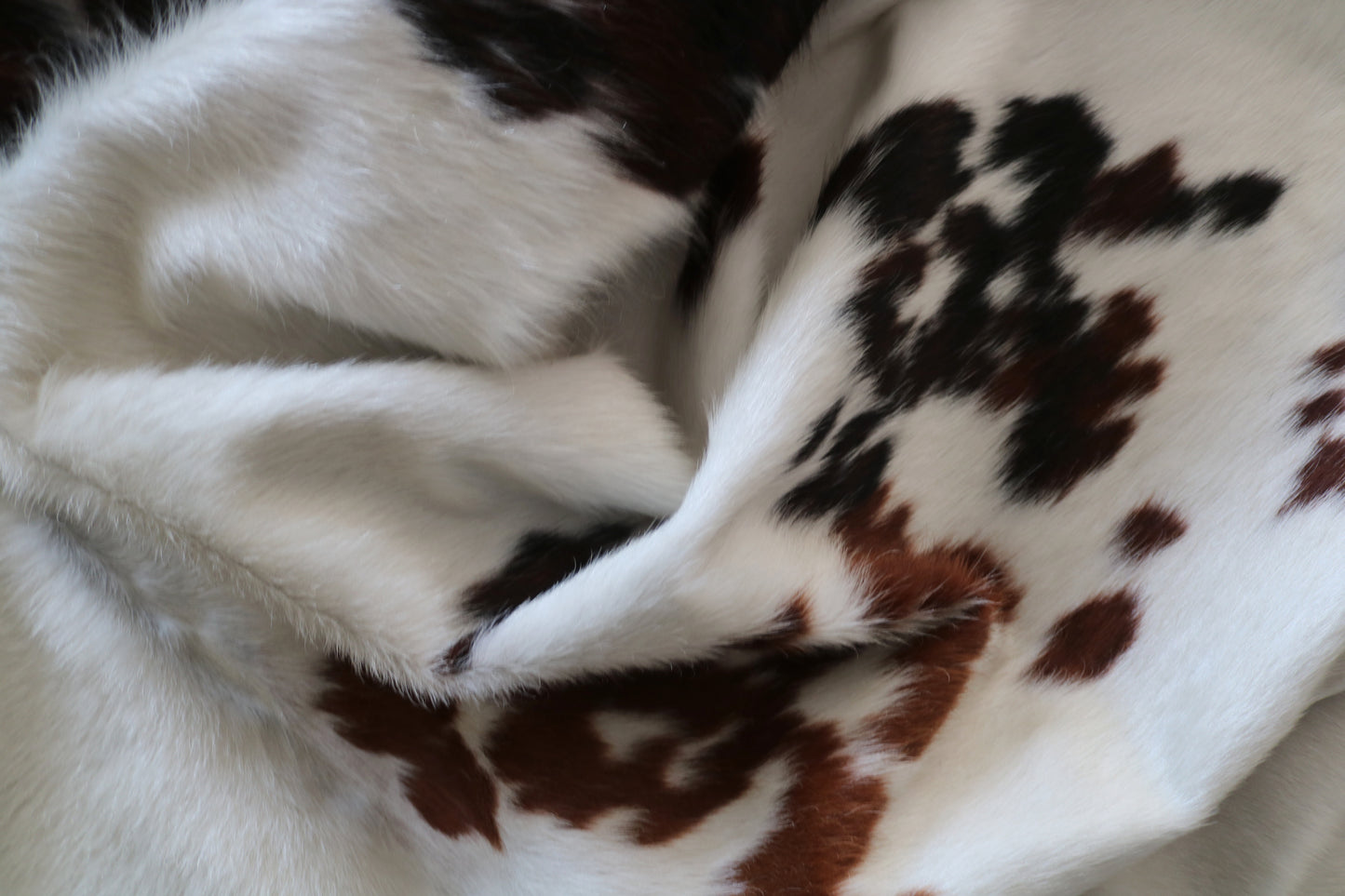 200570 Cowhide rug TRICOLOR Collection Quebecuir Premium
