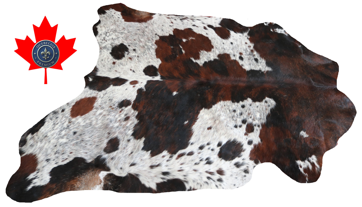 99939 Cowhide rug TRICOLOR Collection Quebecuir Premium