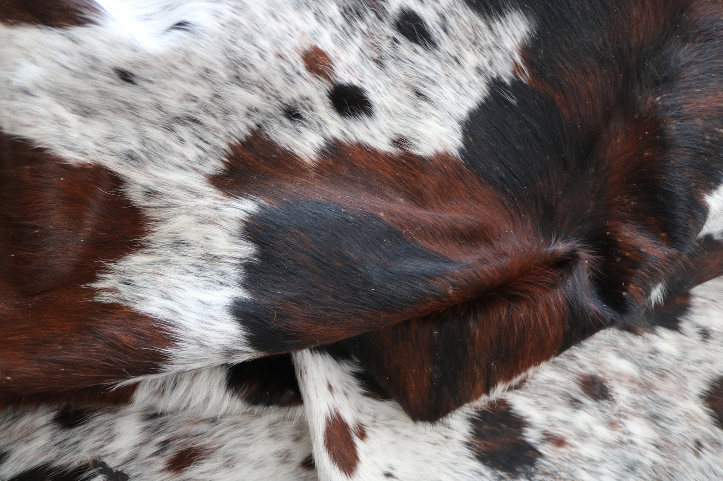 99939 Cowhide rug TRICOLOR Collection Quebecuir Premium