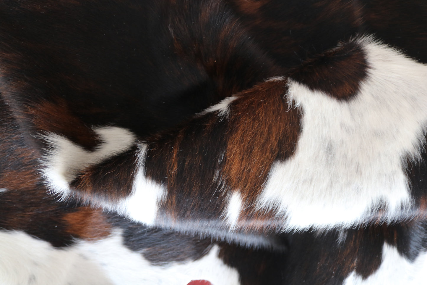 99943 Cowhide rug   Collection Quebecuir Premium