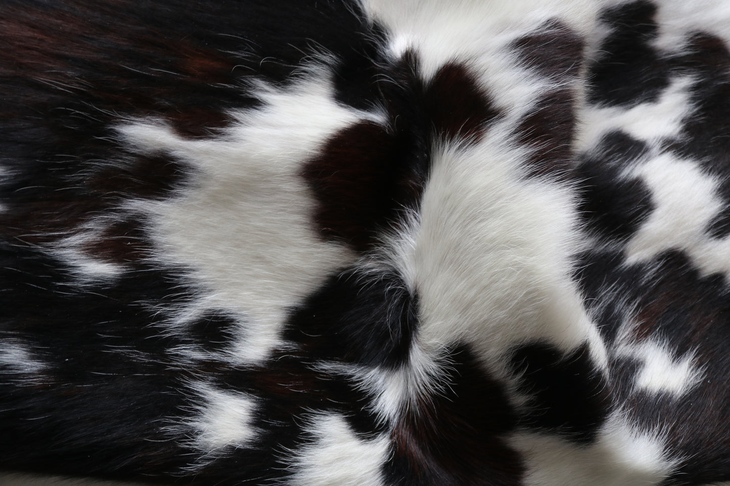 99946 Cowhide rug   Collection Quebecuir Premium