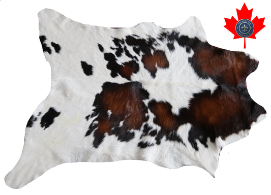 99951 Calfskin Tapis peau de veau TRICOLOR  Collection Quebecuir Premium
