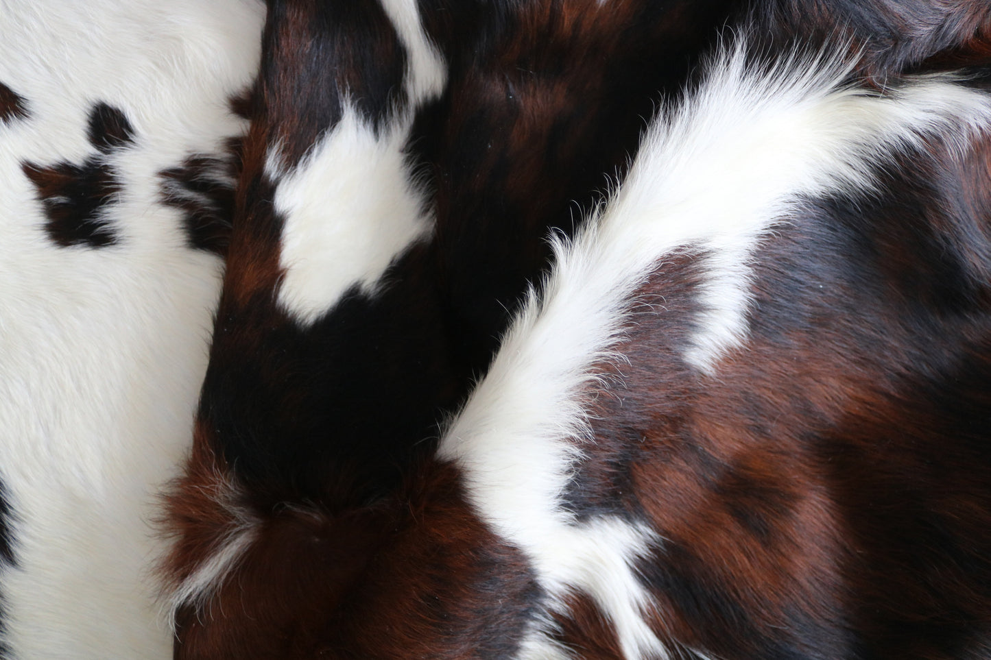 99959 Cowhide rug   Collection Quebecuir Premium