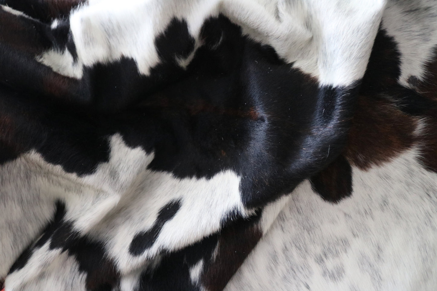 200571 Cowhide rug   Collection Quebecuir Premium