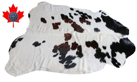 200573 Cowhide rug  TRICOLOR  Collection Quebecuir Premium