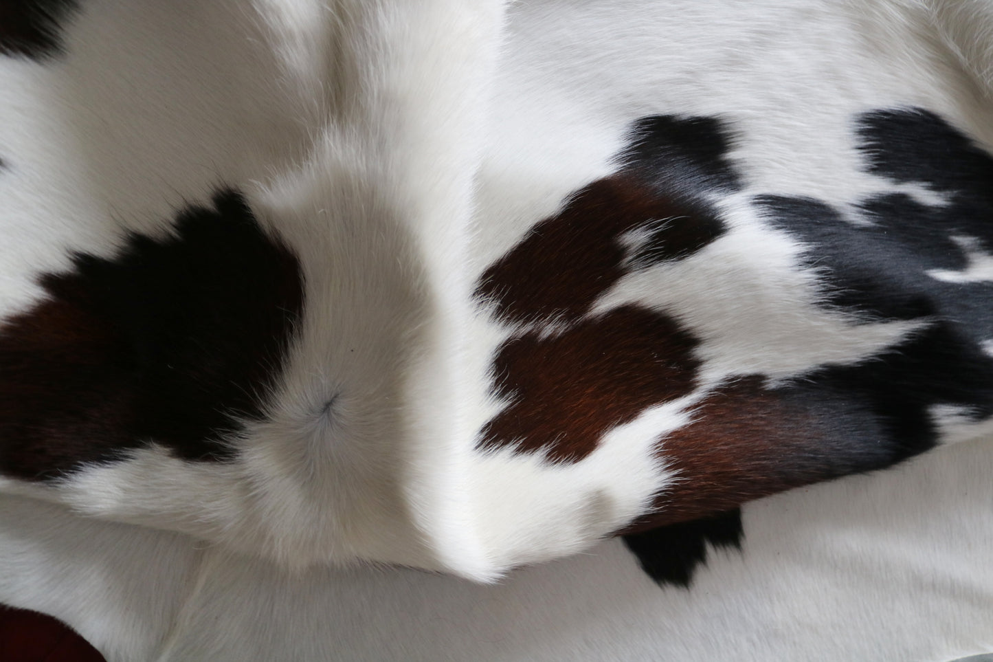 200573 Cowhide rug  TRICOLOR  Collection Quebecuir Premium