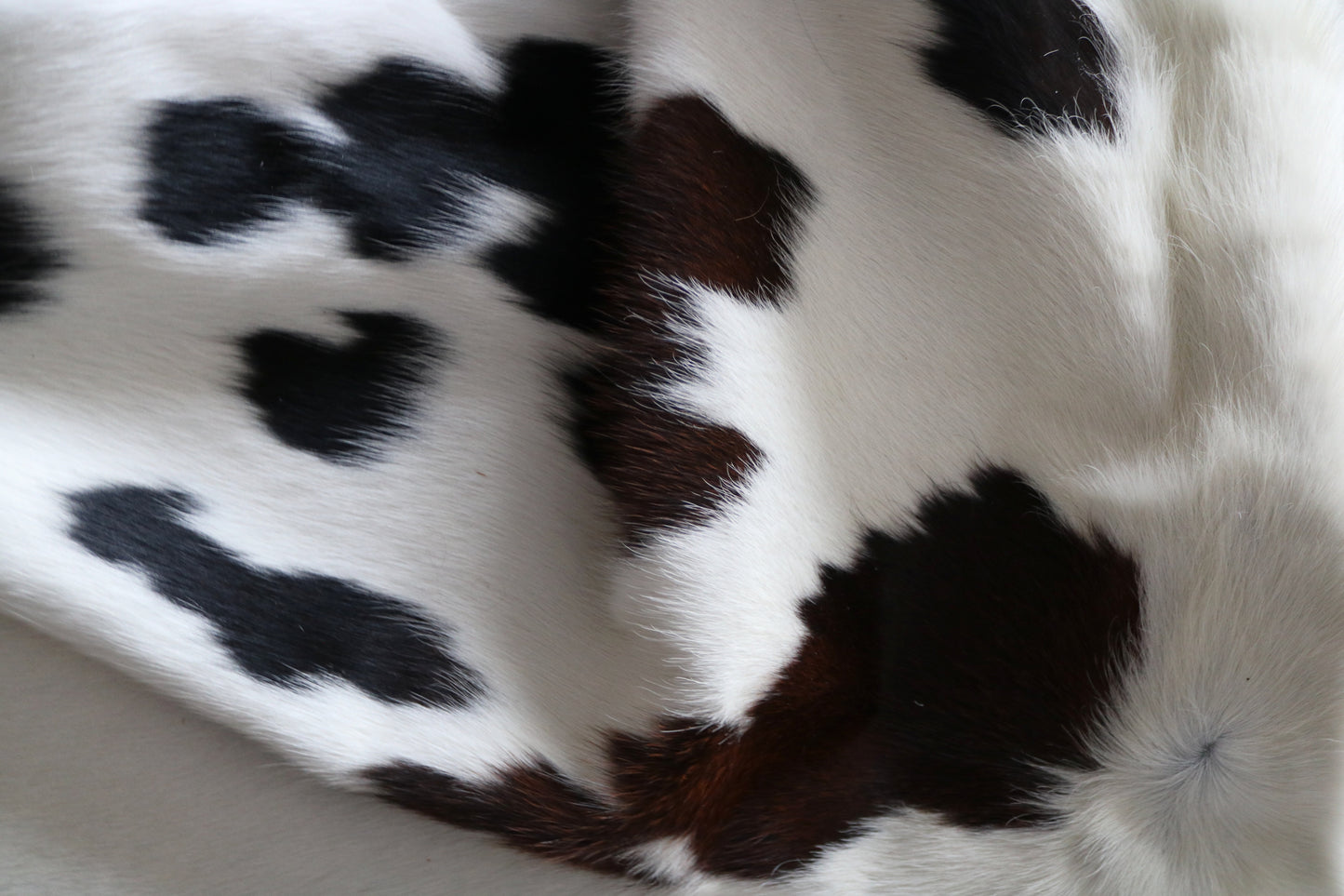200573 Cowhide rug  TRICOLOR  Collection Quebecuir Premium