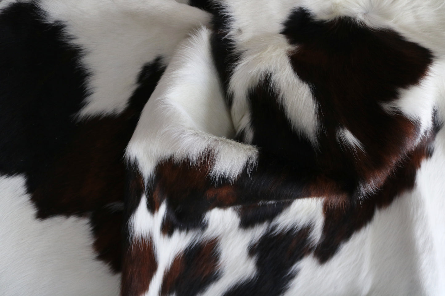 200577  Cowhide rug  TRICOLOR  Collection Quebecuir Premium