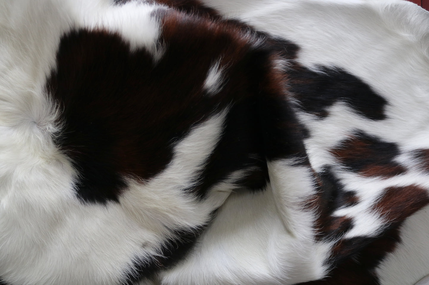 200577  Cowhide rug  TRICOLOR  Collection Quebecuir Premium