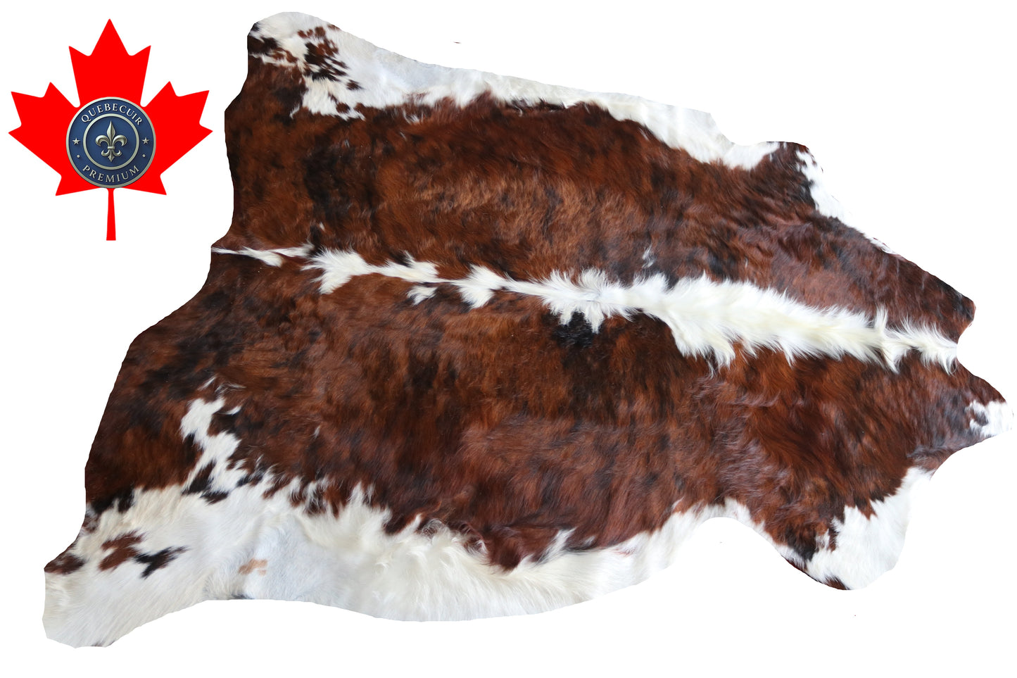 200578  Cowhide rug  TRICOLOR  Collection Quebecuir Premium