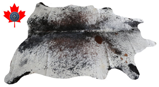 99981 Cowhide rug   TRICOLOR Collection Quebecuir Premium BIG SIZE XXL
