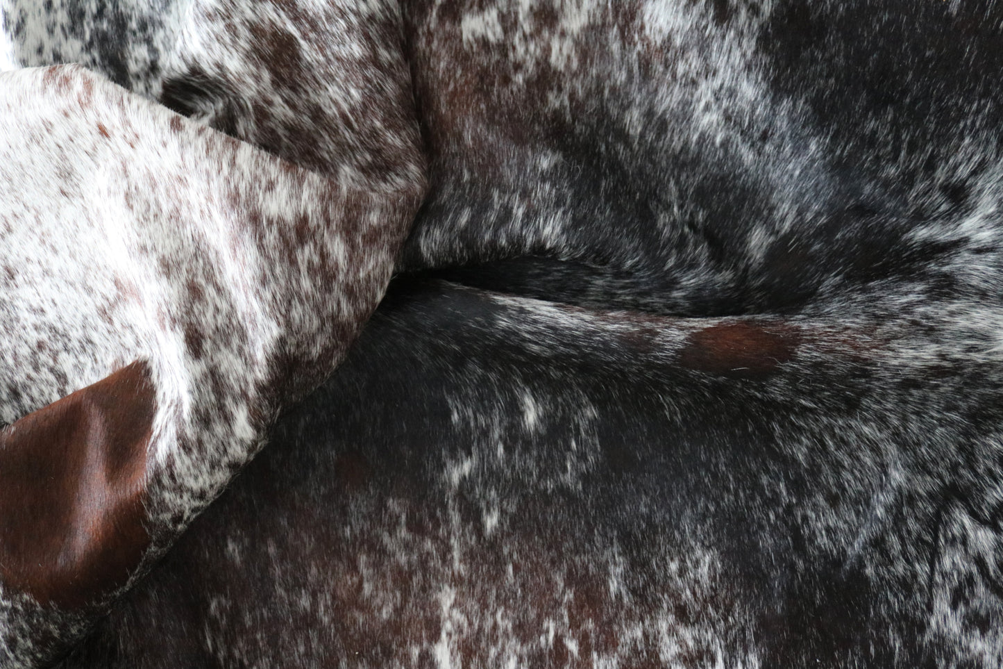 99981 Cowhide rug   TRICOLOR Collection Quebecuir Premium BIG SIZE XXL