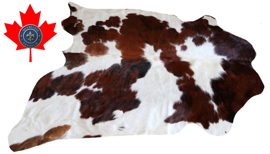 99988 Cowhide rug TRICOLOR  Collection Quebecuir Premium