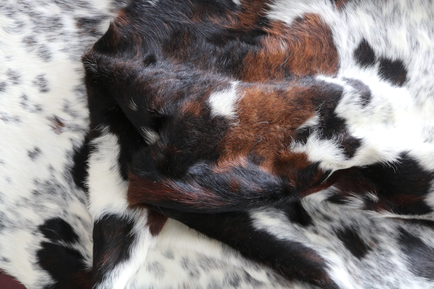 99996  Cowhide rug  TRICOLOR  Collection Quebecuir Premium