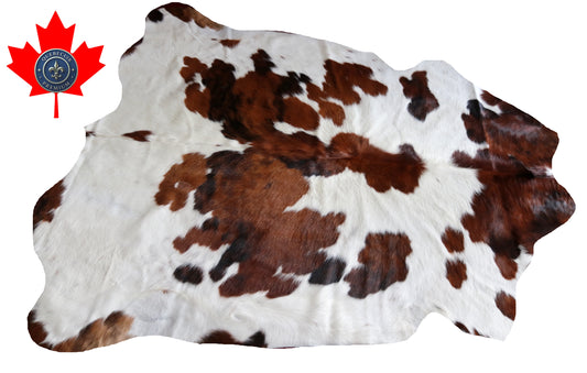 100023 Cowhide rug TRICOLOR   Collection Quebecuir Premium