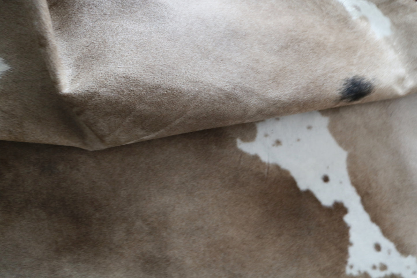 100025 Cowhide rug   Collection Quebecuir Premium