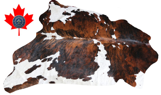 100027 Cowhide rug TRICOLOR   Collection Quebecuir Premium