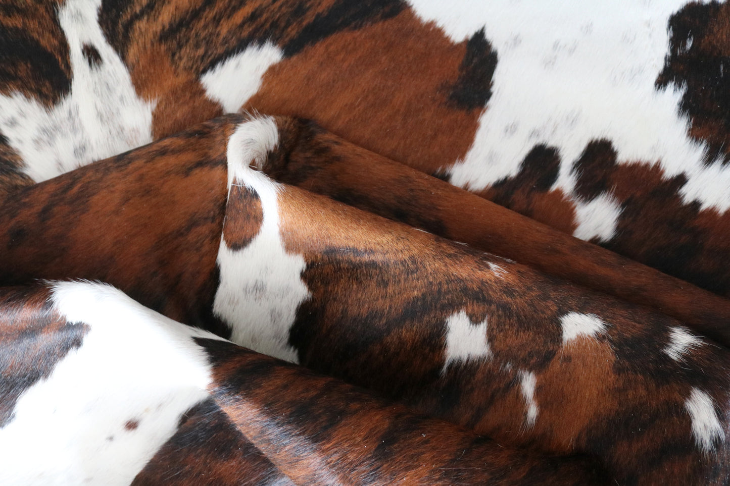 100027 Cowhide rug TRICOLOR   Collection Quebecuir Premium