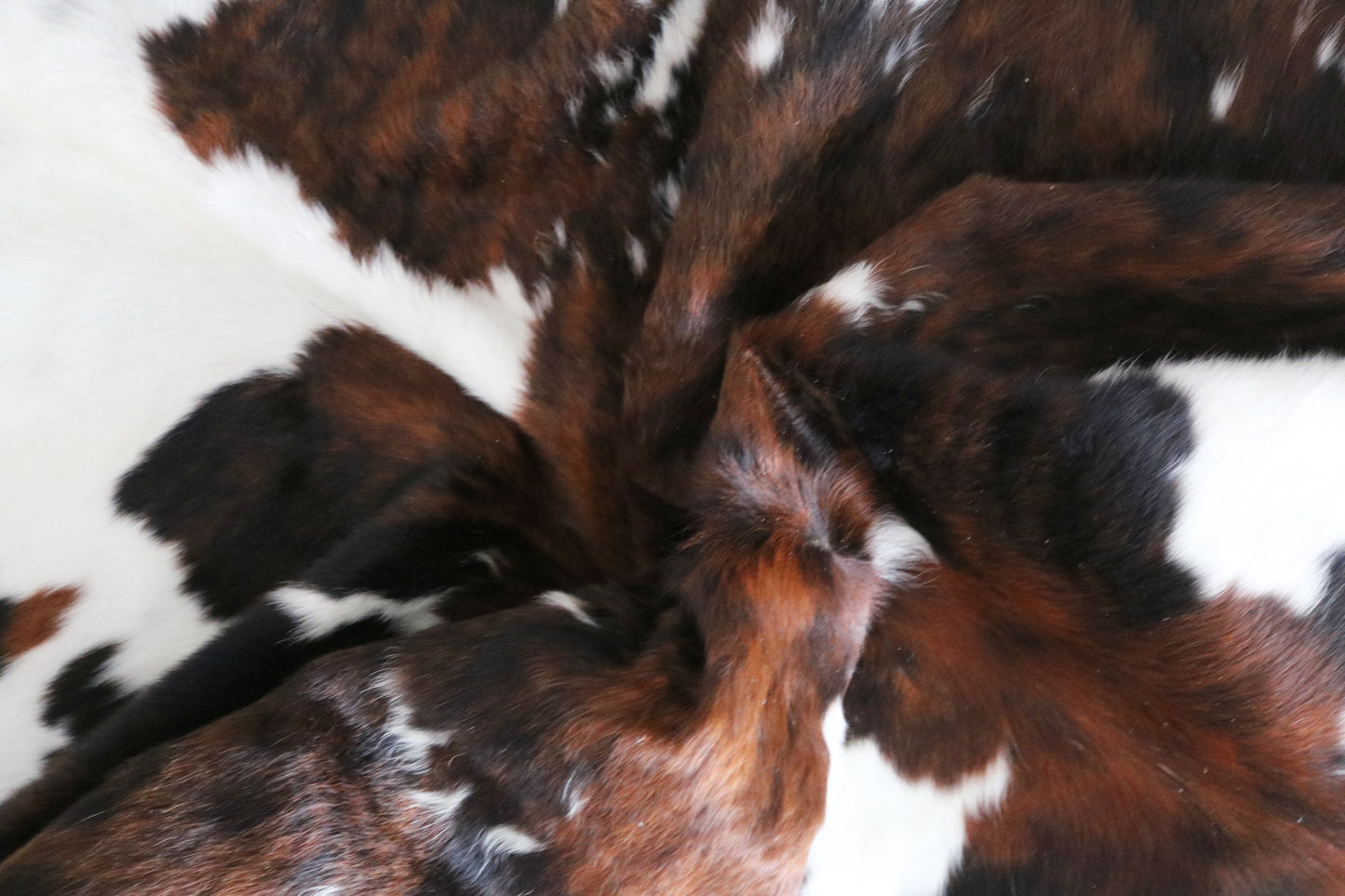 100029 Cowhide rug TRICOLOR   Collection Quebecuir Premium