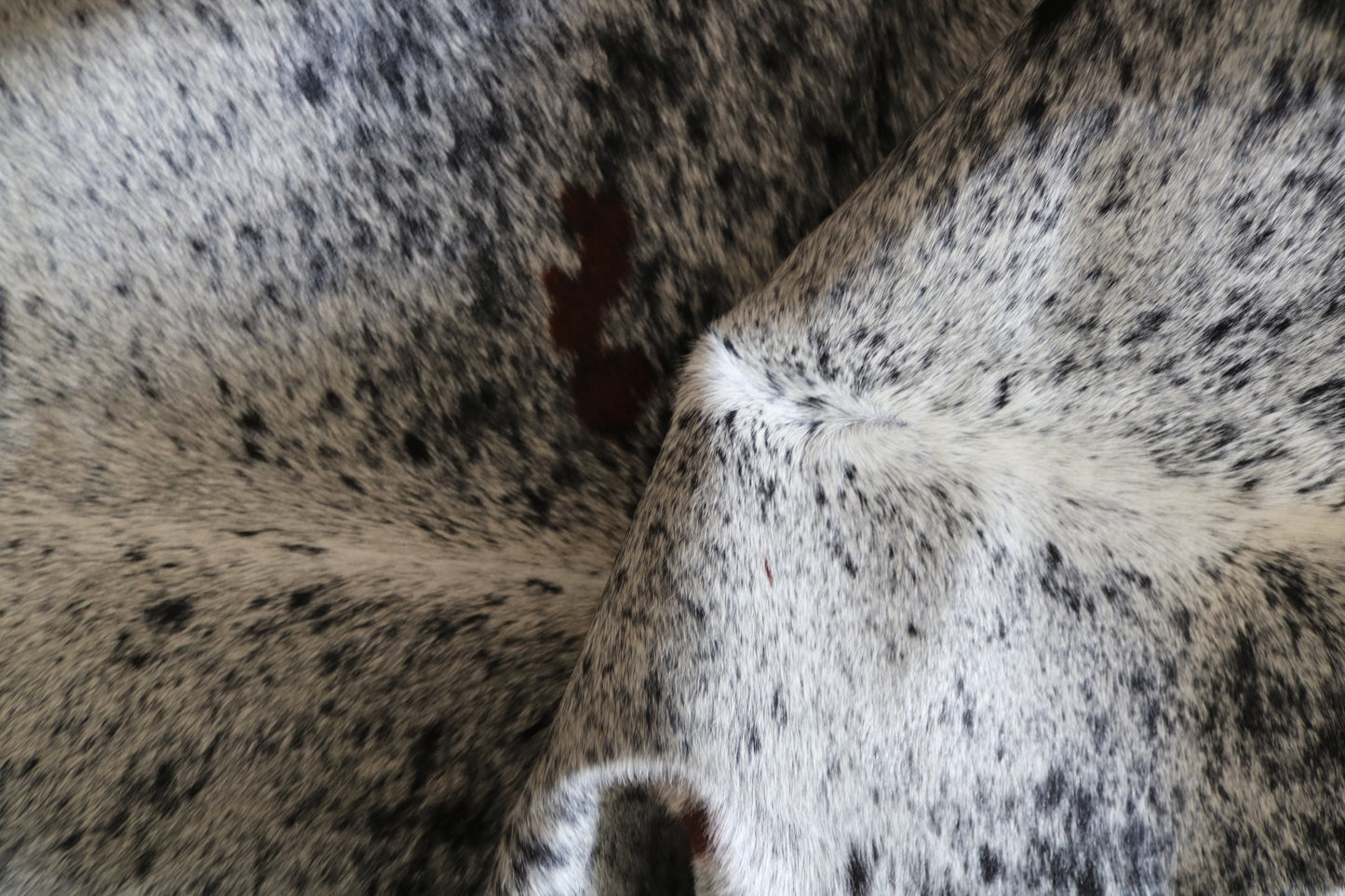 100031 Cowhide rug TRICOLOR   Collection Quebecuir Premium